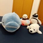 旅行に行ってきたの巻